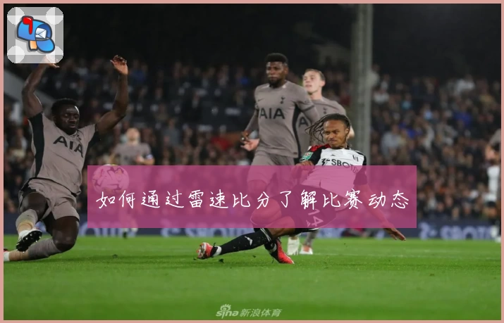 如何通过雷速比分了解比赛动态