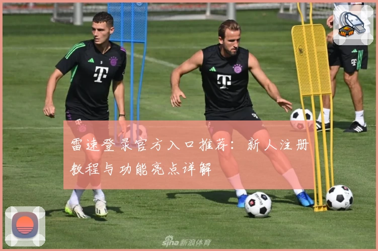 雷速登录官方入口推荐：新人注册教程与功能亮点详解
